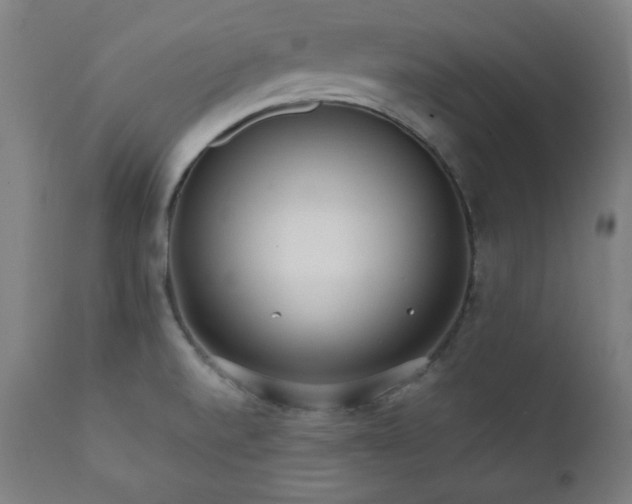 X0000112051520200908041138