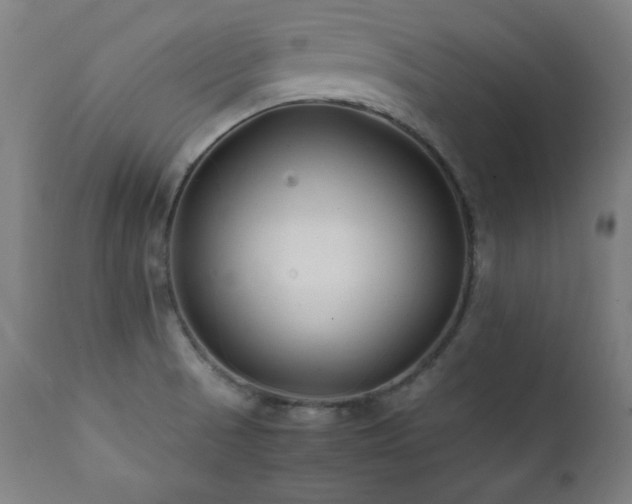 X0000112051521200908041138
