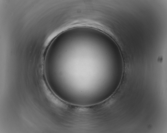 X0000112051522200908041138