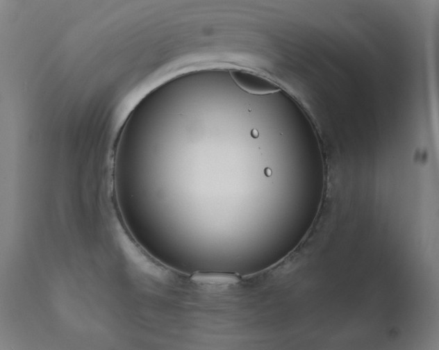 X0000112051524200908041138