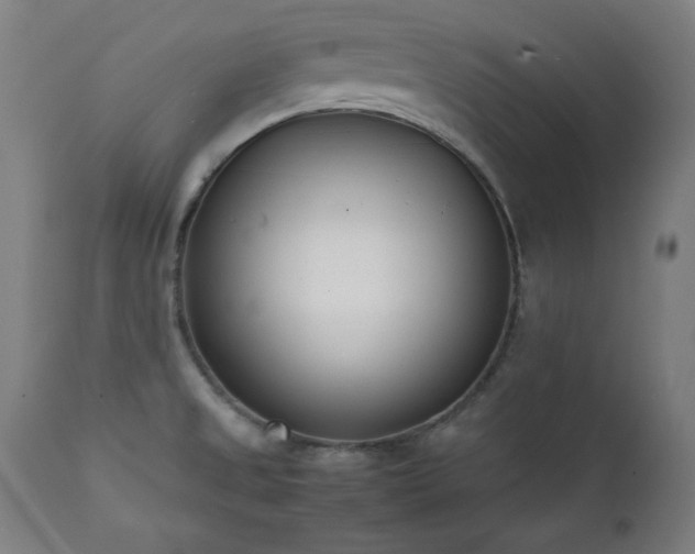 X0000112051525200908041138