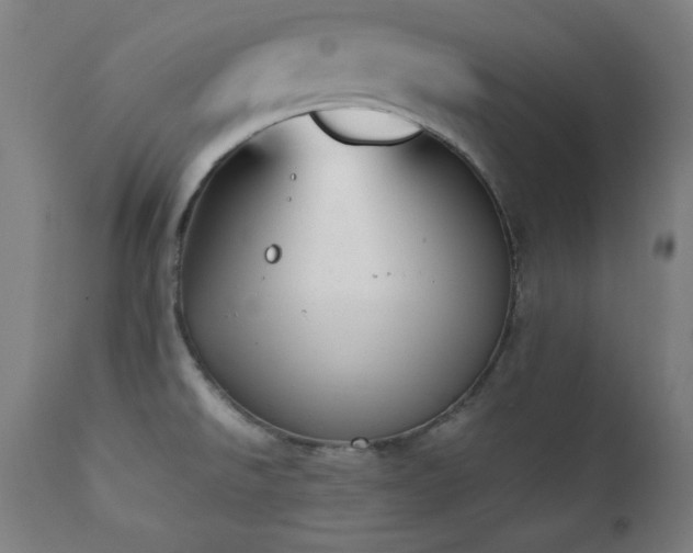 X0000112051526200908041138