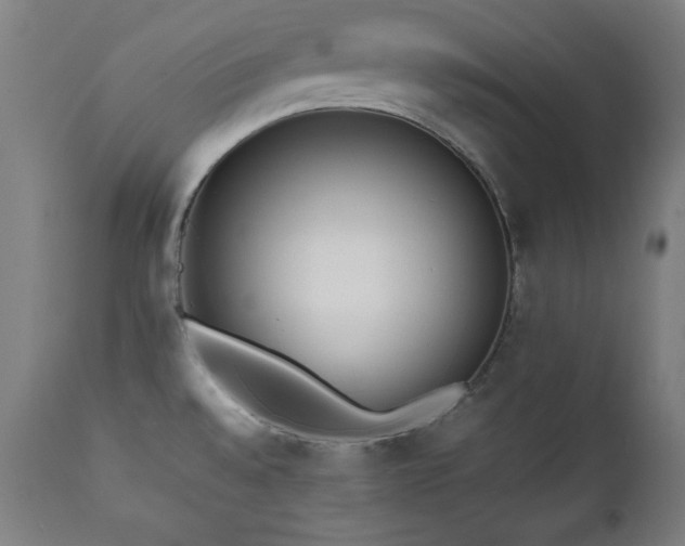 X0000112051528200908041138