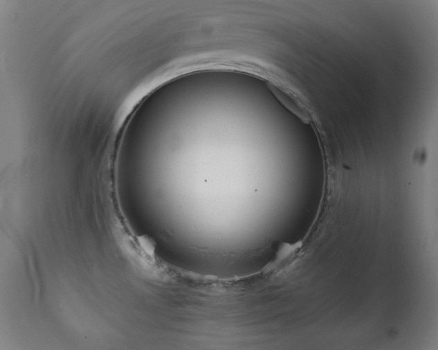 X0000112051530200908041138