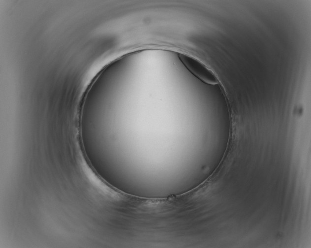 X0000112051531200908041138