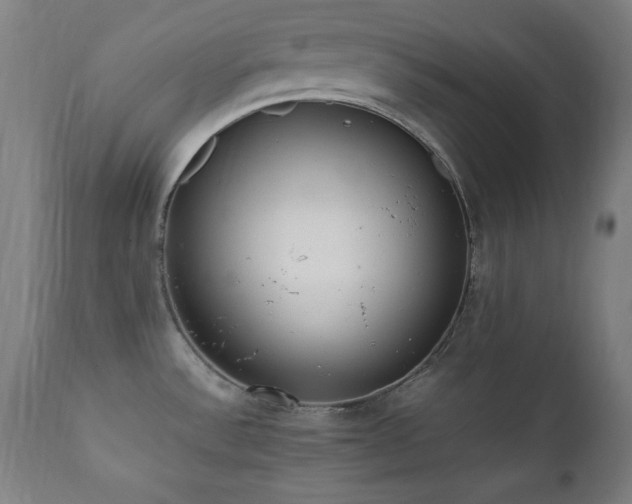 X0000112051532200908041138