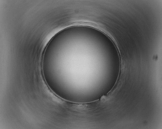 X0000112051533200908041138