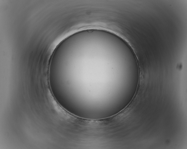X0000112051534200908041138