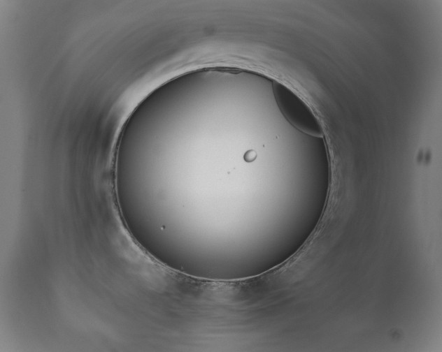 X0000112051536200908041138
