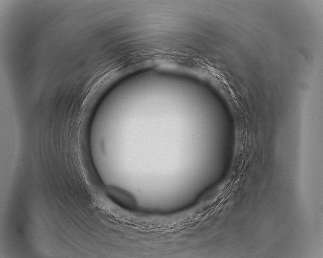 X0000112050001200908111400