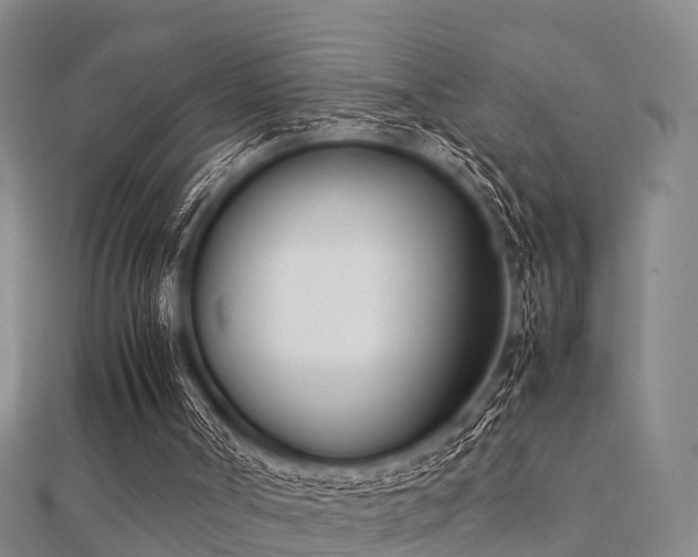 X0000112050002200908111400