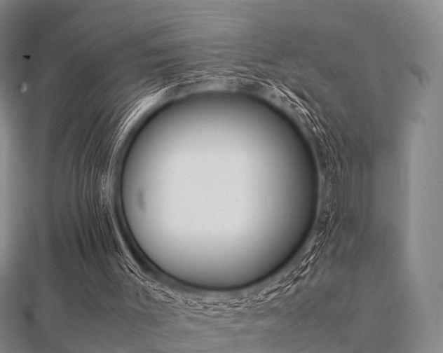 X0000112050003200908111400