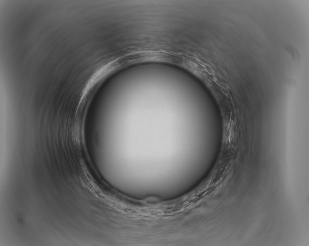 X0000112050004200908111400