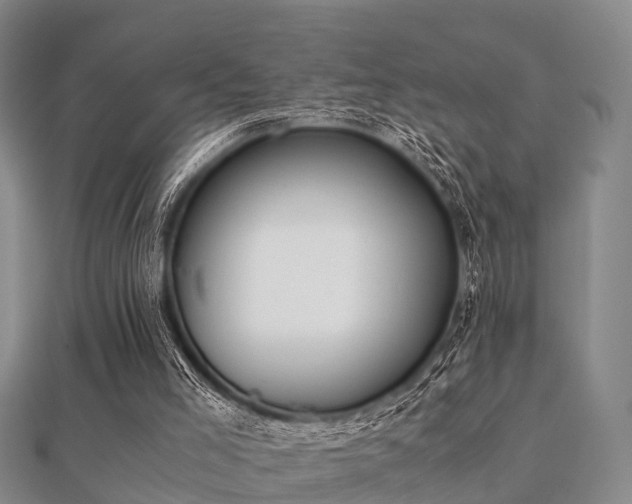 X0000112050005200908111400