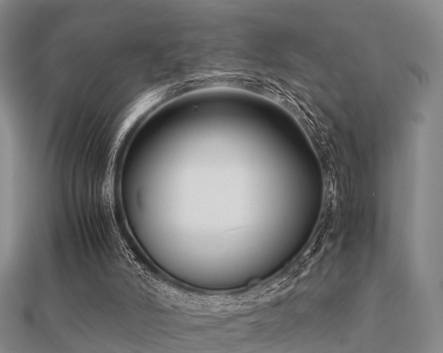 X0000112050006200908111400