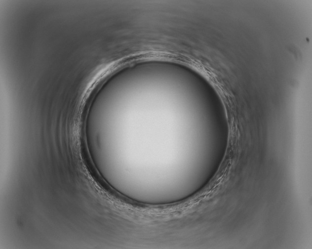 X0000112050007200908111400