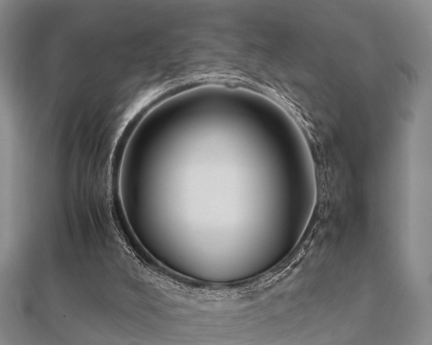 X0000112050008200908111400