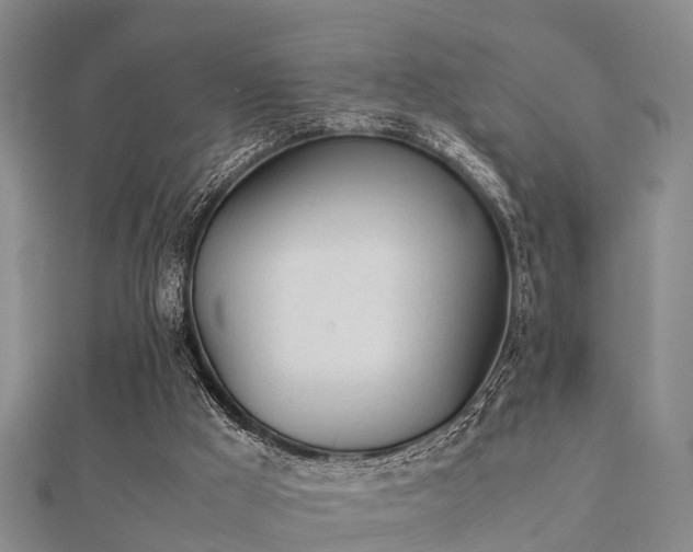 X0000112050009200908111400