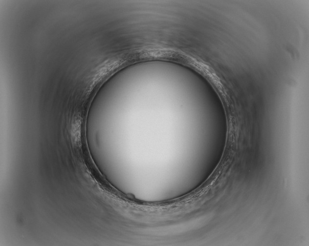 X0000112050010200908111400