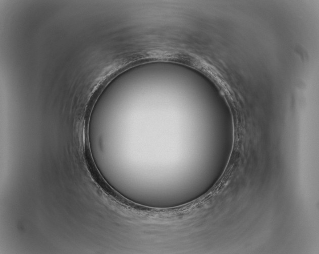 X0000112050011200908111400