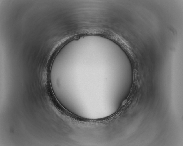 X0000112050012200908111400