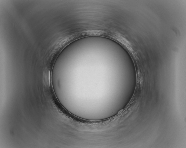 X0000112050013200908111400