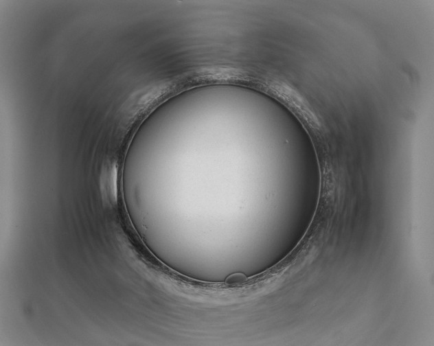 X0000112050014200908111400