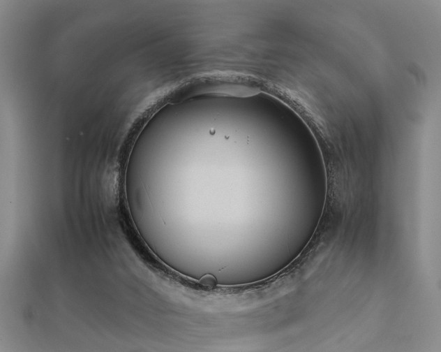 X0000112050016200908111400