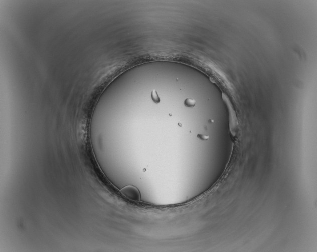 X0000112050017200908111400