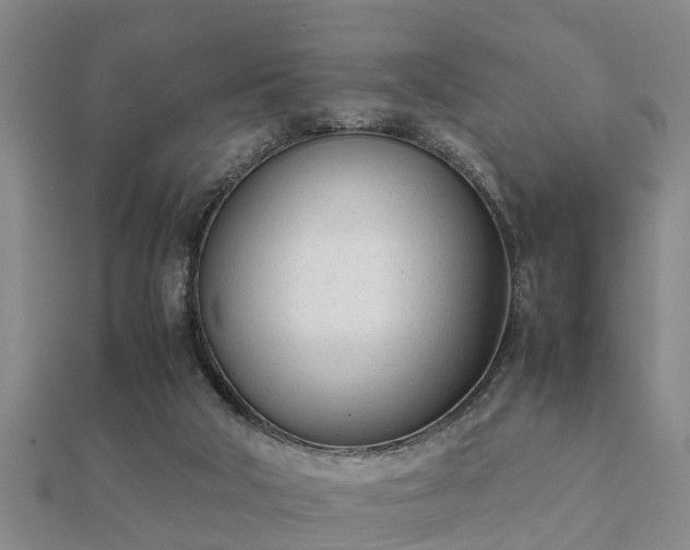 X0000112050018200908111400