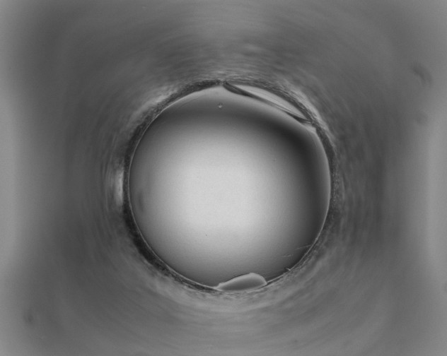 X0000112050019200908111400