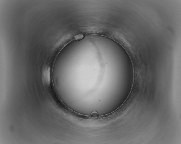 X0000112050020200908111400