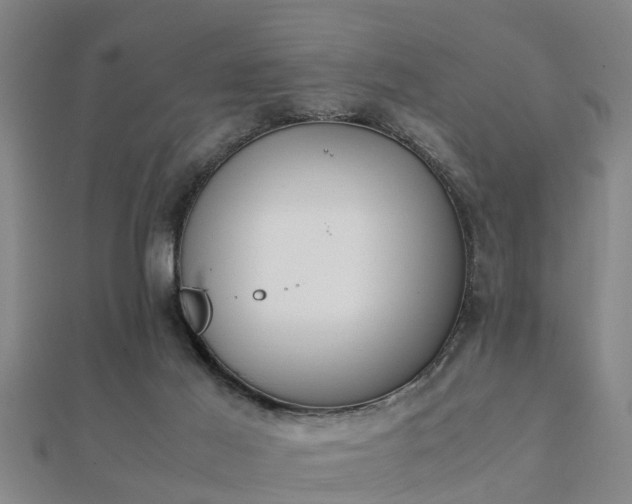 X0000112050021200908111400