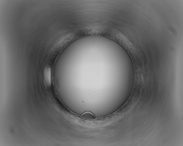 X0000112050022200908111400