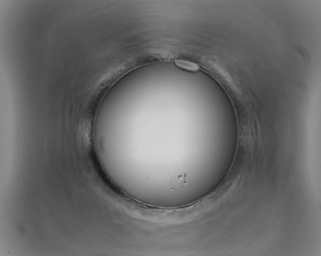 X0000112050023200908111400