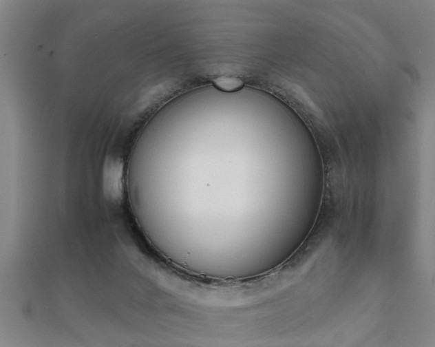 X0000112050024200908111400