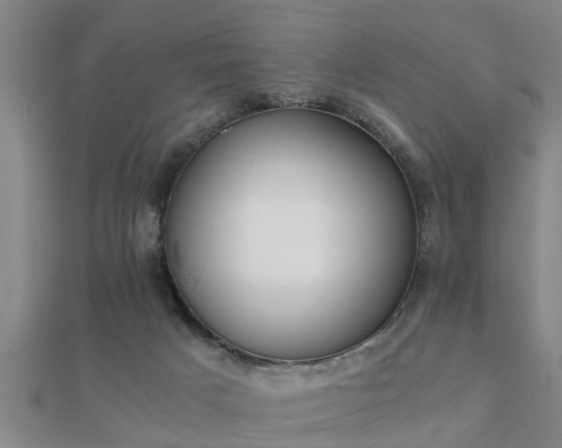 X0000112050025200908111400