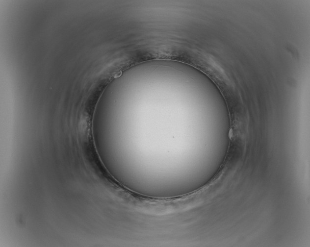 X0000112050029200908111400