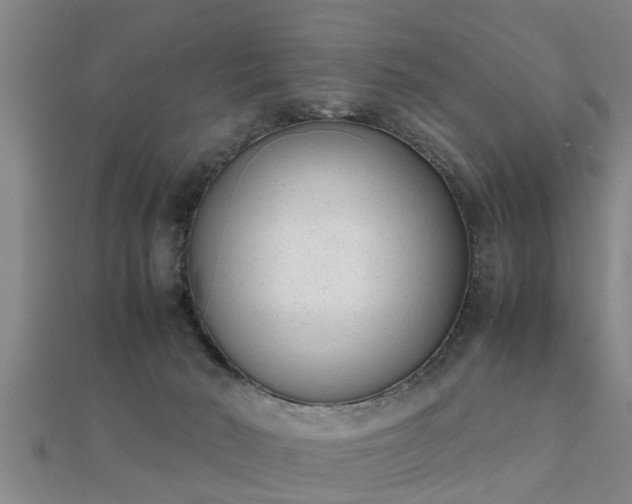 X0000112050030200908111400