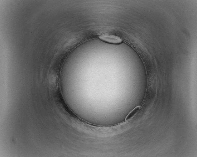 X0000112050031200908111400