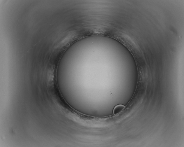 X0000112050032200908111400