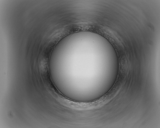 X0000112050034200908111400