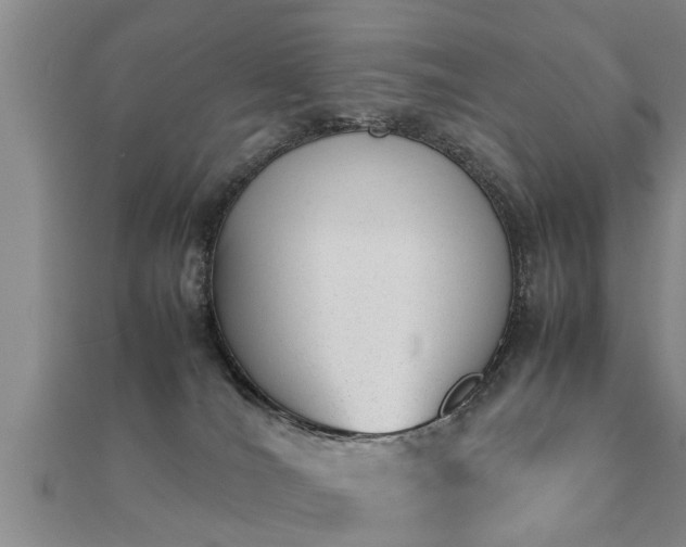 X0000112050036200908111400