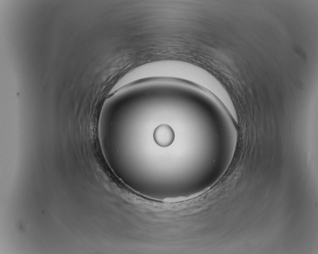 X0000112050039200908111400