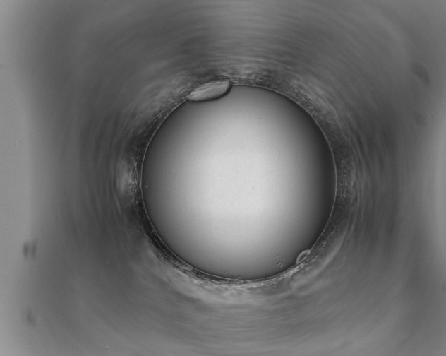 X0000112050040200908111400