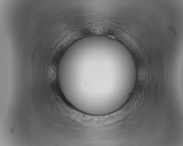 X0000112050043200908111400