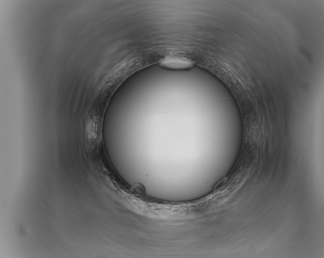 X0000112050044200908111400