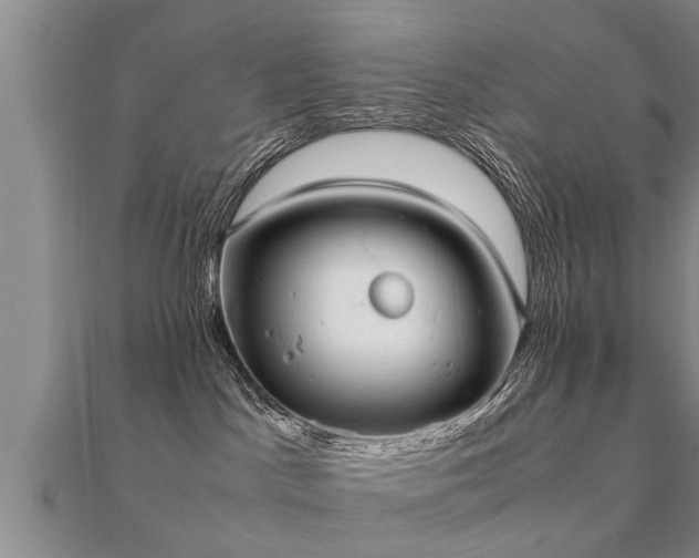 X0000112050045200908111400