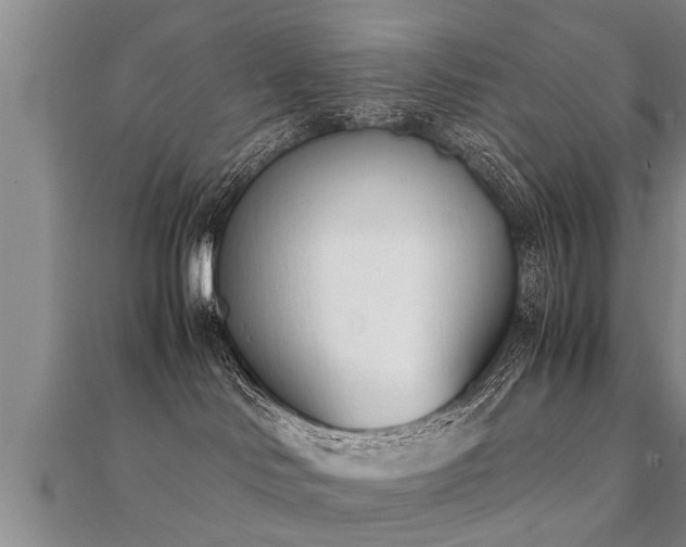 X0000112050046200908111400