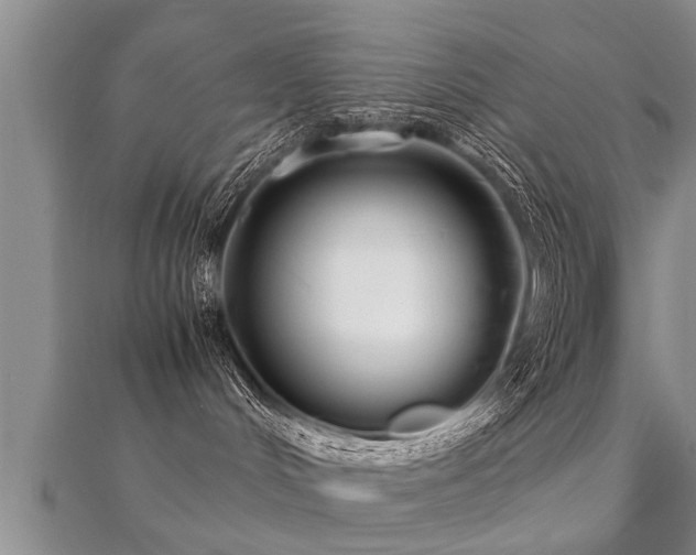 X0000112050048200908111400